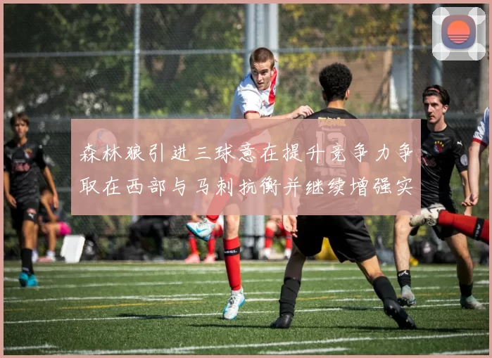 森林狼引进三球意在提升竞争力争取在西部与马刺抗衡并继续增强实力