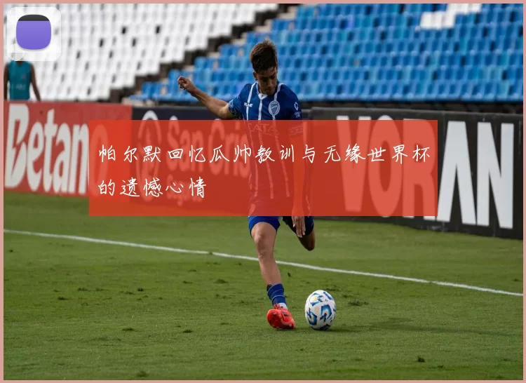 帕尔默回忆瓜帅教训与无缘世界杯的遗憾心情